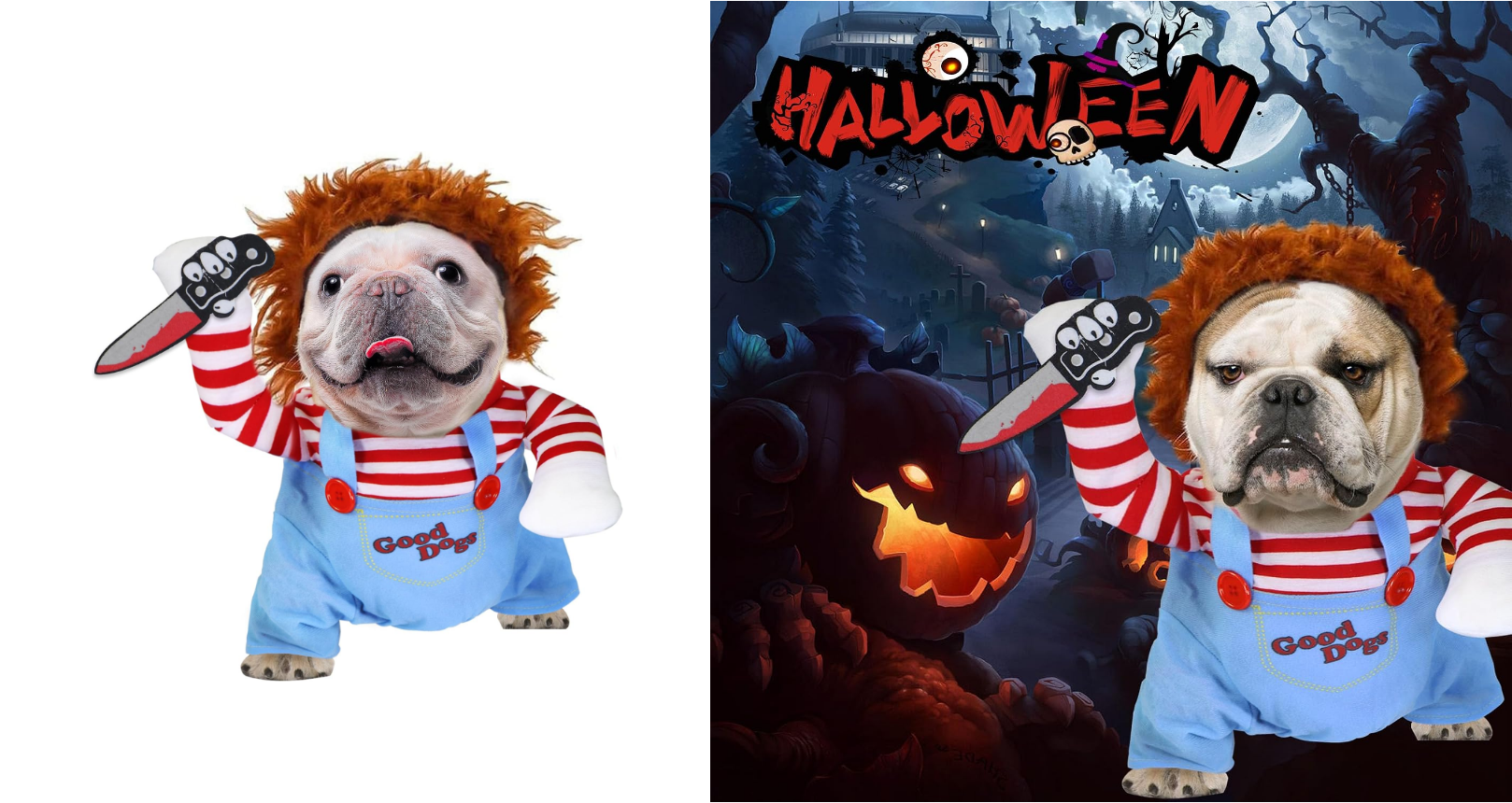 18. Halloween Pet Costumes.png where to learn dropshipping where to get suppliers for dropshippin how do i find suppliers for dropshipping what is the best website for dropshipping hottest dropshipping products top 100 dropshipping products dropshipping quality products what dropshipping products sell the most what dropshipping item sells the most dropshipping q3 q3 dropshipping dropshipping q4 q4 dropshipping products